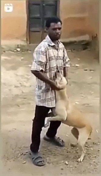 印度男得意忘形地欺負一隻狗，狗隻發出慘叫。