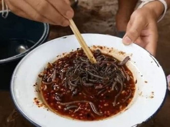 蚯蚓被浸在酸辣酱汁中，作「凉拌」食用。网图