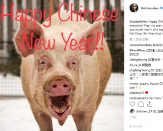 吴彦祖发布一张丑猪图片拜年。IG图片