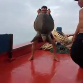 漁民抓住海龜的後腳將牠懸空吊起來。（網圖）