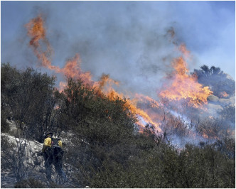 山林大火快速蔓延面積已多達約3.4萬公頃。AP