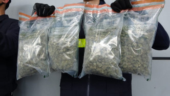 海關展示檢獲約兩公斤懷疑大麻花。梁國峰攝