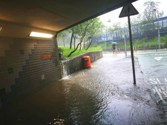 大埔行人隧道水浸。網民Manley Lau‎圖片