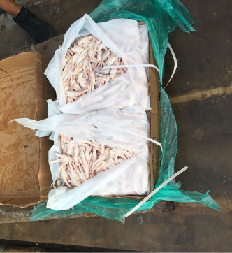 人员于渔船上检获633箱怀疑走私冻肉，市值约60万元。 警方图片