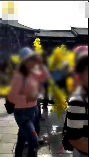 貴州丹寨萬達小鎮內裝飾用的黃色花朵，竟被遊客搶至一朵不剩。網圖