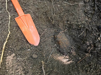 加拿大男子在黃泥涌峽徑發現手榴彈。