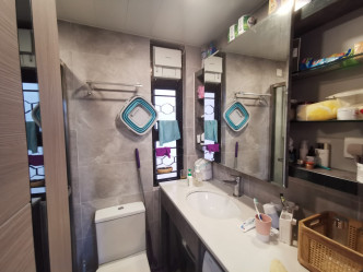 浴室設有大鏡櫃，方便收納物品。