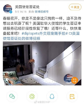 网民批评言论涉及种族歧视。网图