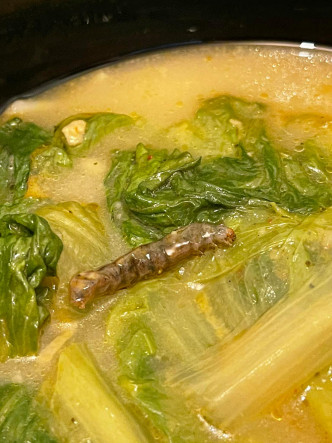 肥蟲躺在生菜上。香港米線關注組 FB圖片