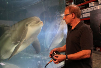 機械海豚由人手遙控操作。網圖