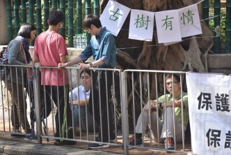 示威者在其中一棵细叶榕下静坐。