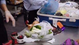 中國旅客入境新西蘭被搜出大量食材。網上圖片
