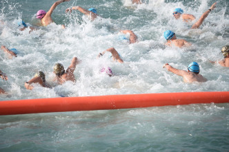 今年是维港泳复办的第7年。