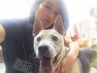 Elaine话爱犬好似肥咗。