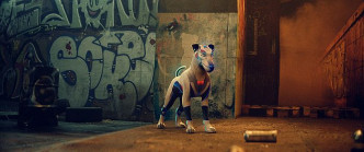 《全能納米機械狗》去年獲選為烏克蘭國際兒童電影節最佳電影，故事鼓勵小朋友要保持自信，並勇於面對困難。 Pronto Film供相