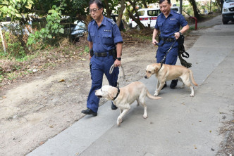 警犬与警员出动搜索