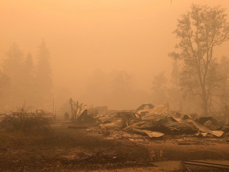 至今山火已烧毁近200万公顷面积的林木。AP