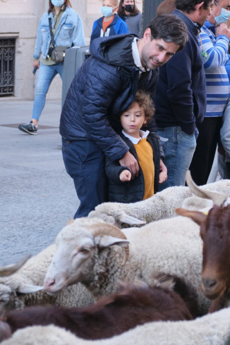 小朋友对近距离接触羊只感到十分新奇。 （新华社）
