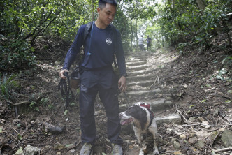 消防搜索犬於在上址尋獲上吊自殺的黃男。