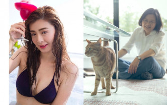 台灣女星夏如芝對走私貓被安樂死感到好憤怒。