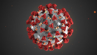 新冠病毒。資料圖片