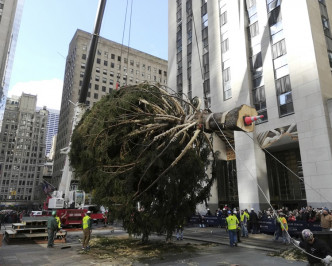 洛克菲勒中心的圣诞树一直是曼克顿中城的主要观光景点之一。AP