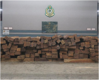 部分檢獲的懷疑瀕危物種木材。圖:政府新聞處