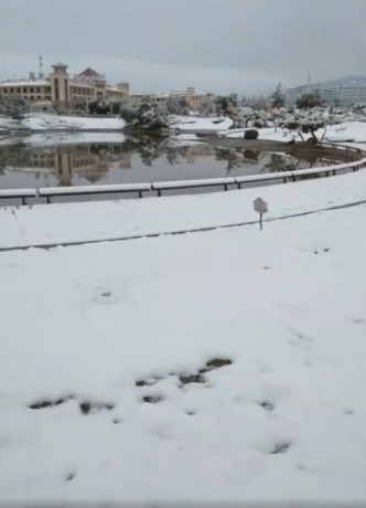 甘肅下大雪。網上圖片