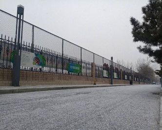 北京多处下雪。网图