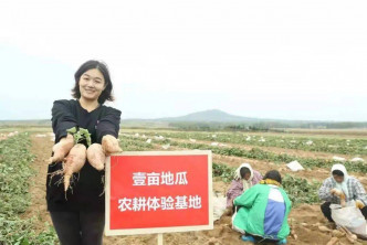 曾擔任記者的劉朝麗轉行賣番薯。 （網上圖片）