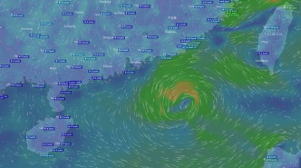 欧洲中期天气预报中心(ECMWF)预测只有低压区在南海活动