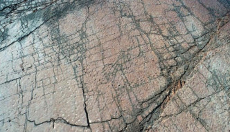 中外古生物學家確認四川省昭覺三比羅嘎恐龍足跡點二號點為中國目前發現的面積最大的恐龍足跡點。網上圖片
