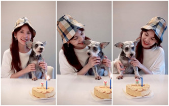 楊丞琳今日在網上為年老愛犬Yumi歡度15歲生日。