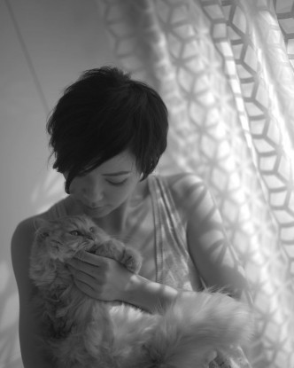 田蕊妮凌晨撰長文悼念愛貓。