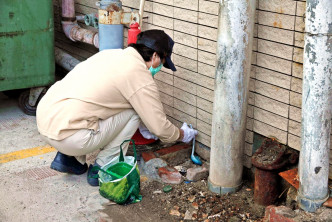 人员进行灭鼠工作。资料图片