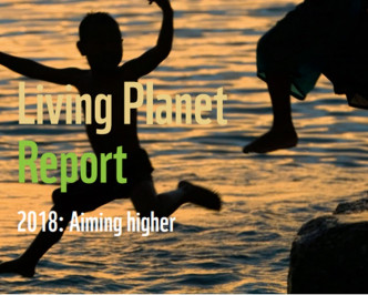 WWF發表《Living Planet》報告，指出44年間全球野生物種銳減6成。WWF官網