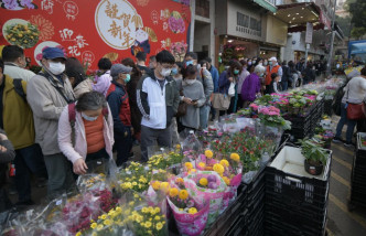 花墟買花市民要在人群穿插。