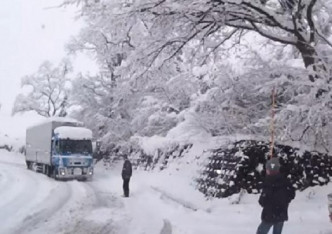 在日本雪地駕駛並不容易。網上圖片
