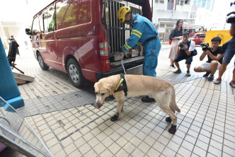 消防今早出动搜索犬协助调查。杨伟亨摄