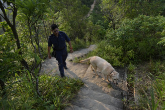警方搜索隊及搜索犬到兇案山頭現場調查。黃文威攝