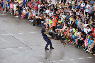 警犬队表演环节。郭显熙摄