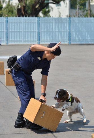 警卫犬队表演。