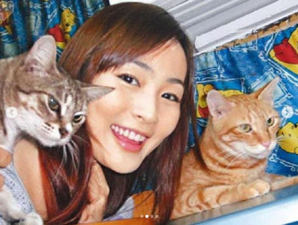 李蘊再上載「阿扁」與另一隻貓「阿毛」多年陪伴成長的舊照。
