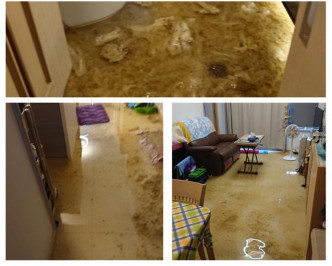 污水湧至大廳和睡房，業主料損失20萬元（荃灣區議員林琳fb專頁圖片）