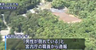 「武藏陵墓地」位于东京八王子市。日本朝日新闻截图