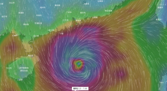 美國預報系統（GFS）一個熱帶氣旋周末進入南海。網上圖片