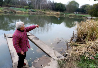 江蘇84歲老婦奮不顧身跳河救人。網圖