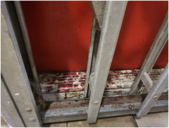 竹园南邨华园楼1557室的凶杀事件于今年6月发生，走廊满布血渍。资料图片
