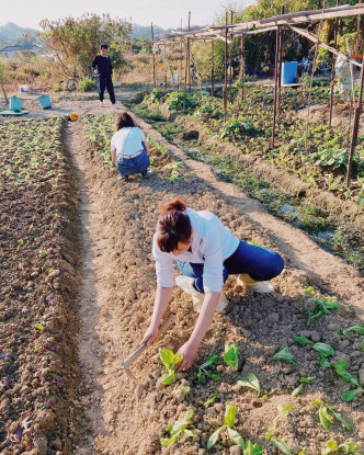 袁澧林同妈妈(前者)到农场种菜。