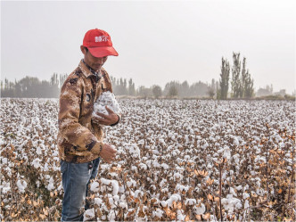 不少大品牌都抵制新疆棉花。网图